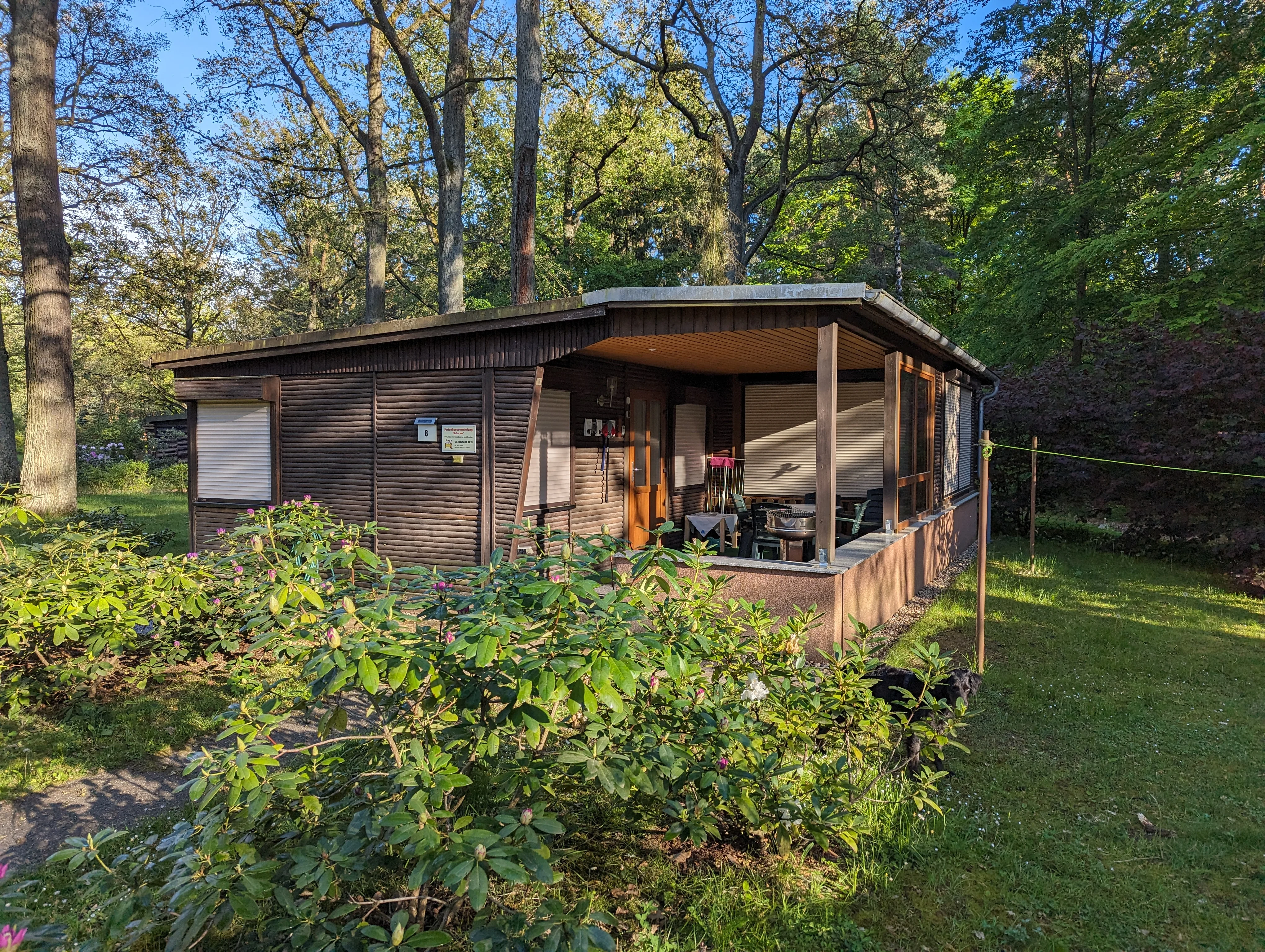 Waldnest – Bungalow eingebettet zwischen Rhododendren