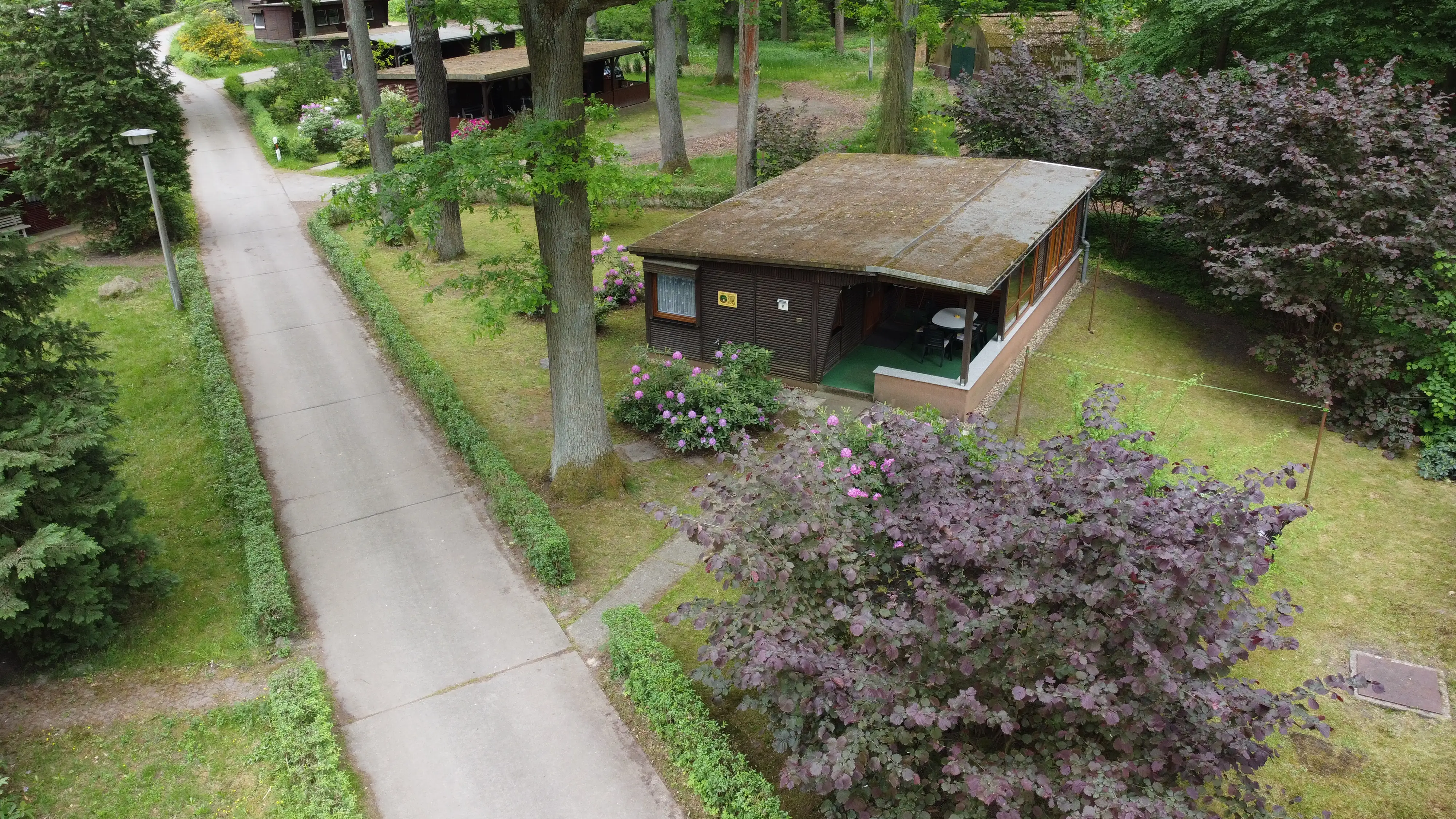 Waldnest – Luftaufnahme des Bungalows zur Rhododendronblüte mit Terrasse und Vorgarten