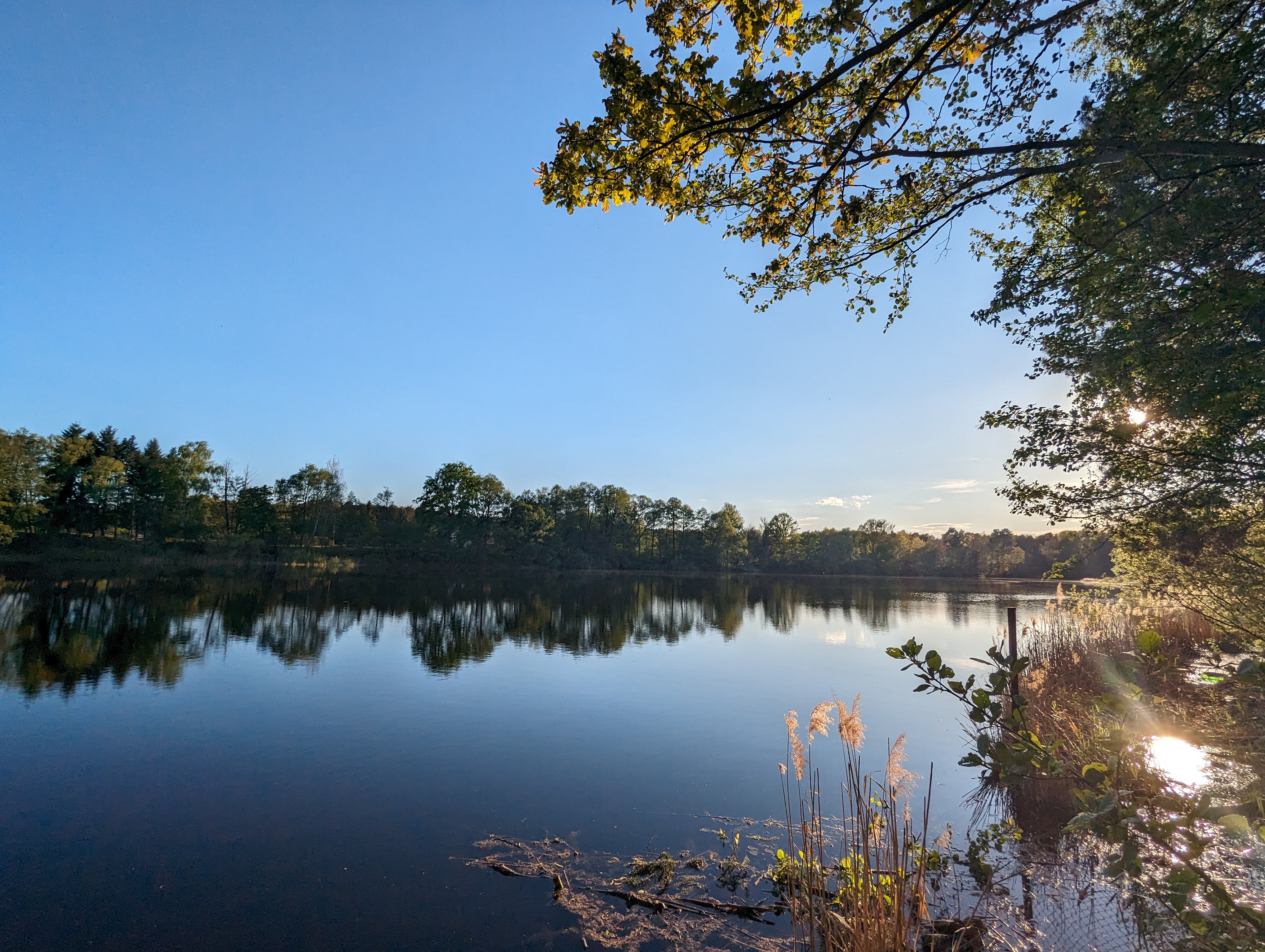 Kromlauer Badesee vom Nordufer