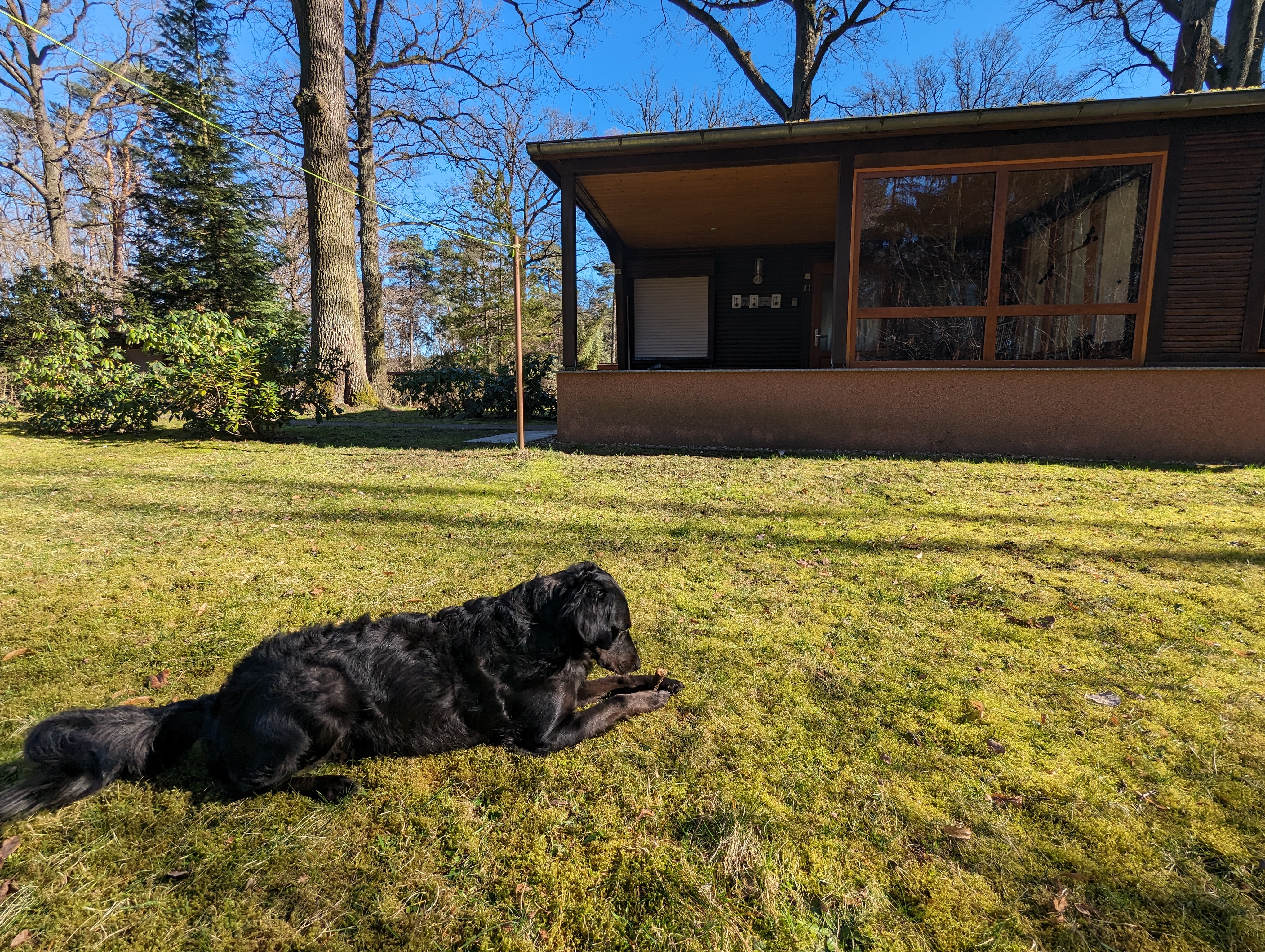 Waldnest – unser Bungalow im Kromlauer Wald